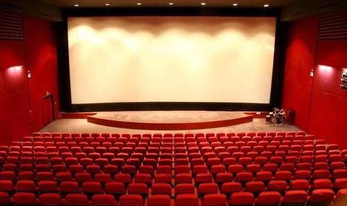 成人国产影院,探寻国产影院的成人世界  第2张